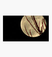 Moon Rise 009 Photographic Print