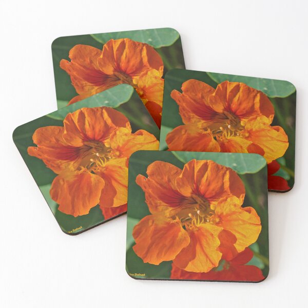 Item preview, Energy of Spring designed and sold by Nira Dabush.