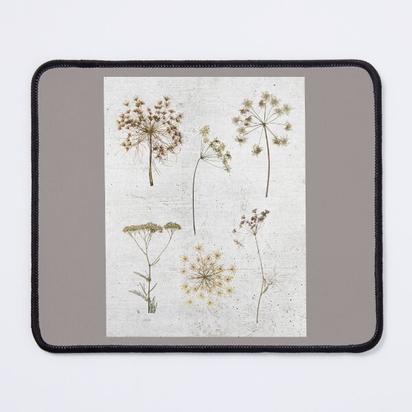 Item preview, Queen Anns Lace dried flowers designed and sold by Beyond Tees.