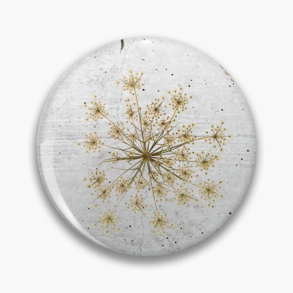Item preview, Queen Anns Lace dried flowers designed and sold by Beyond Tees.