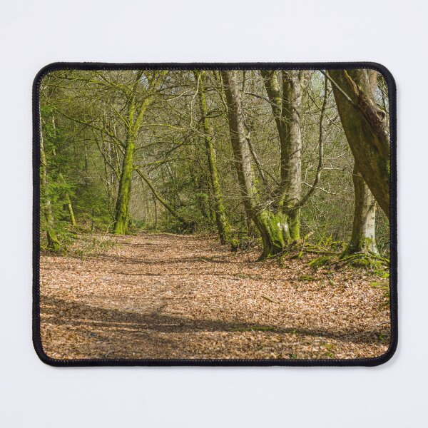 Item preview, Hensol Forest Vale of Glamorgan South Wales designed and sold by Cameranick.
