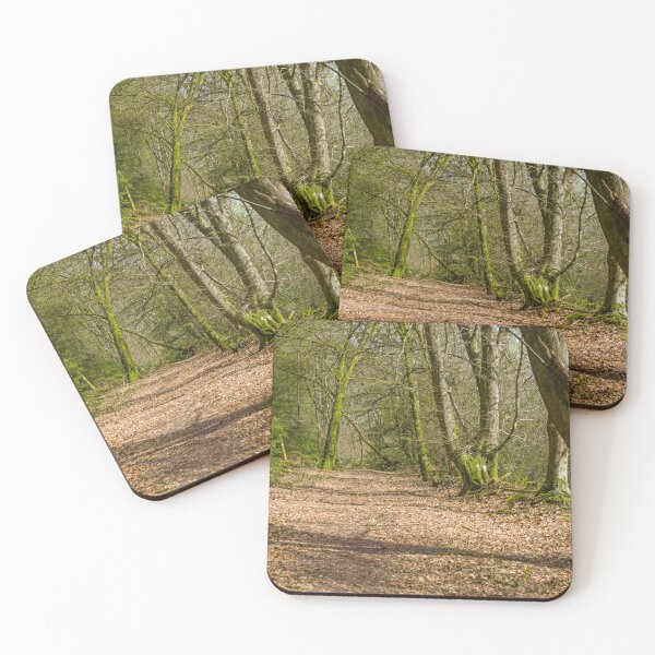 Item preview, Hensol Forest Vale of Glamorgan South Wales designed and sold by Cameranick.