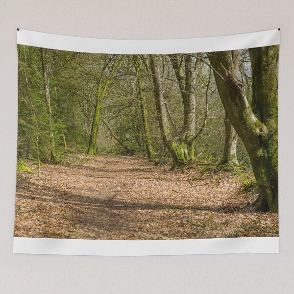 Item preview, Hensol Forest Vale of Glamorgan South Wales designed and sold by Cameranick.