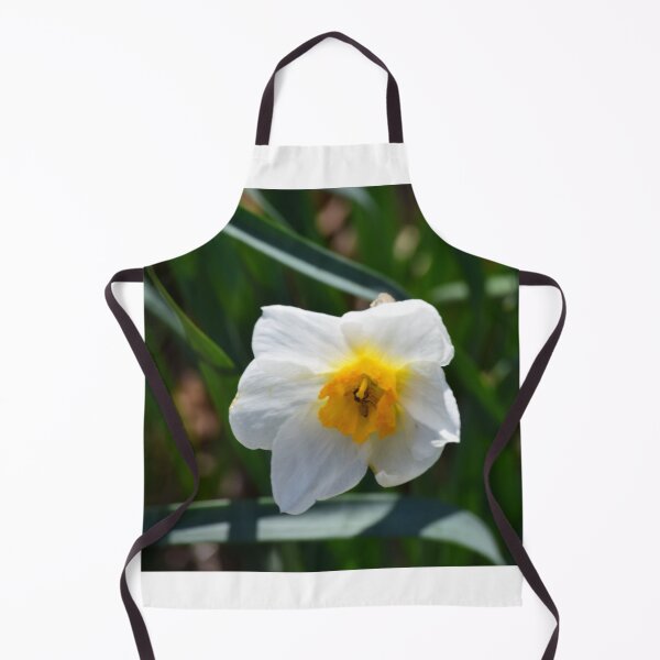 Artikelvorschau, Bunch Flowered Daffodil in voller Blüte Frühling entworfen und verkauft von Anthony Ryan Parrish.