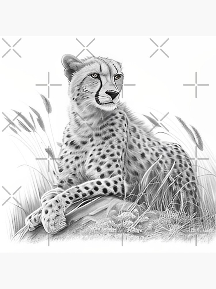 6,664 Cheetah Outline Drawing Royalty-Free Photos and Stock Images |  Shutterstock