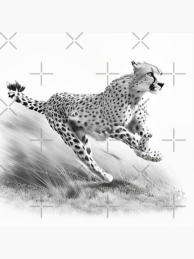 Pencil drawn Cheetah High Quality Black and White Design Poster
