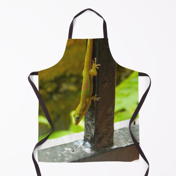 Item preview, Colorful Lined Day Gecko, Madagascar #2 designed and sold by Ocera-Photo.