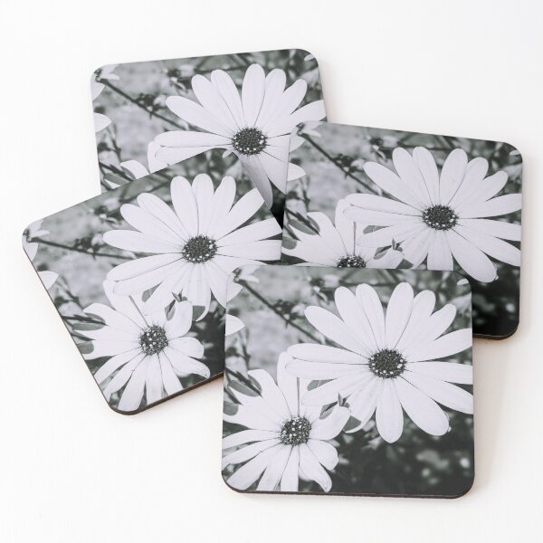 Item preview, B&W Daisies designed and sold by noveclocks.