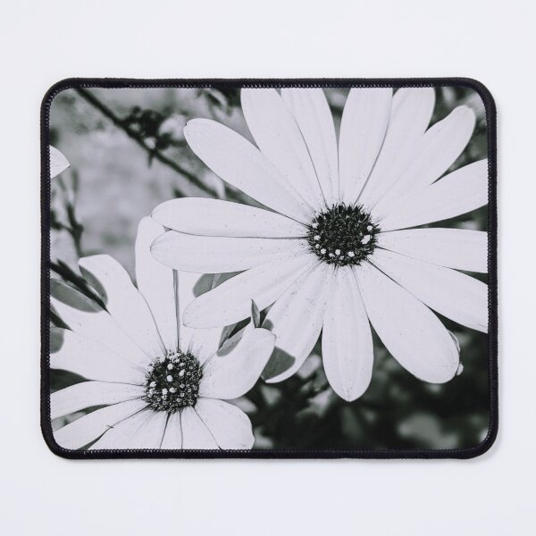 Item preview, B&W Daisies designed and sold by noveclocks.