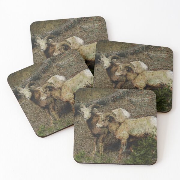 Item preview, Rocky Mountain Sheep - Big Horn Sheep designed and sold by NaturePrints.