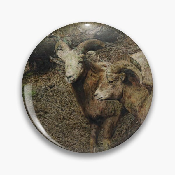 Artikelvorschau, Rocky Mountain Sheep - Dickhornschaf entworfen und verkauft von NaturePrints.