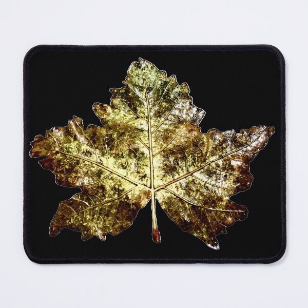 Item preview, Hydro Sticker, Leaf Photo, Nature Sticker, Nature Print, Nature Art, Leaf Art, Rainbow Sticker, Leaf Pattern, Leaf Design, Leaf Sticker, Nature Lover Gift, Nature Wear, Nature Decor, Leaf Image designed and sold by MEAStudios.