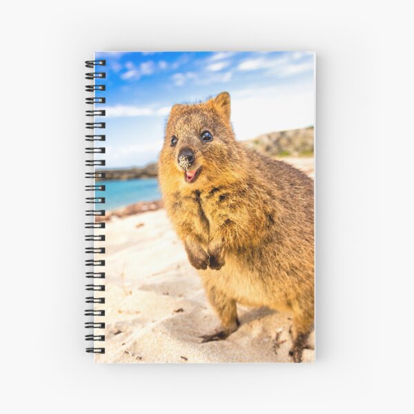 Item preview, Quokka Beach Smile designed and sold by daxonart.