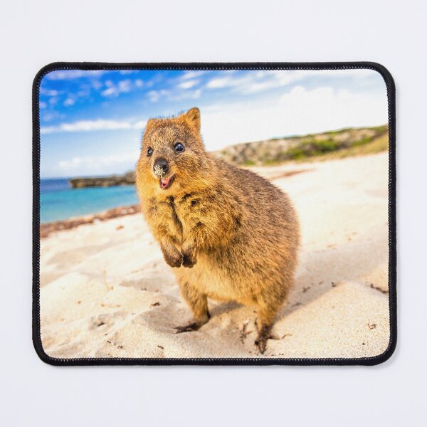 Item preview, Quokka Beach Smile designed and sold by daxonart.
