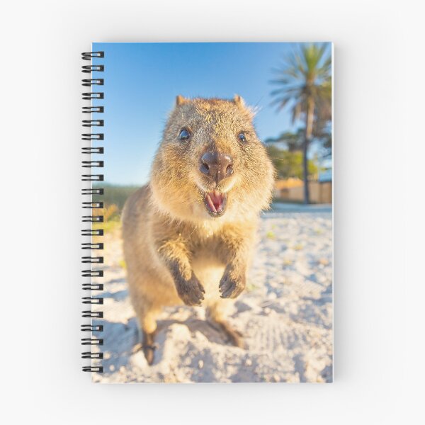 Item preview, Bright Quokka Smile  designed and sold by daxonart.