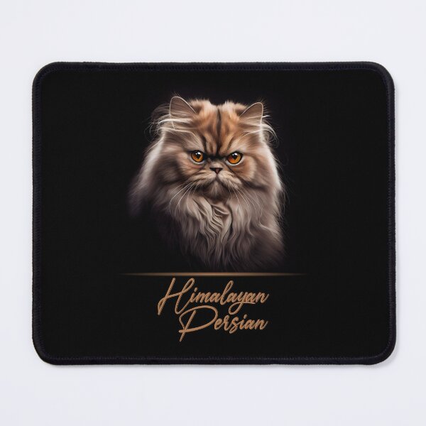 Item preview, Adorable Himalayan Persian designed and sold by Best-Breeds.