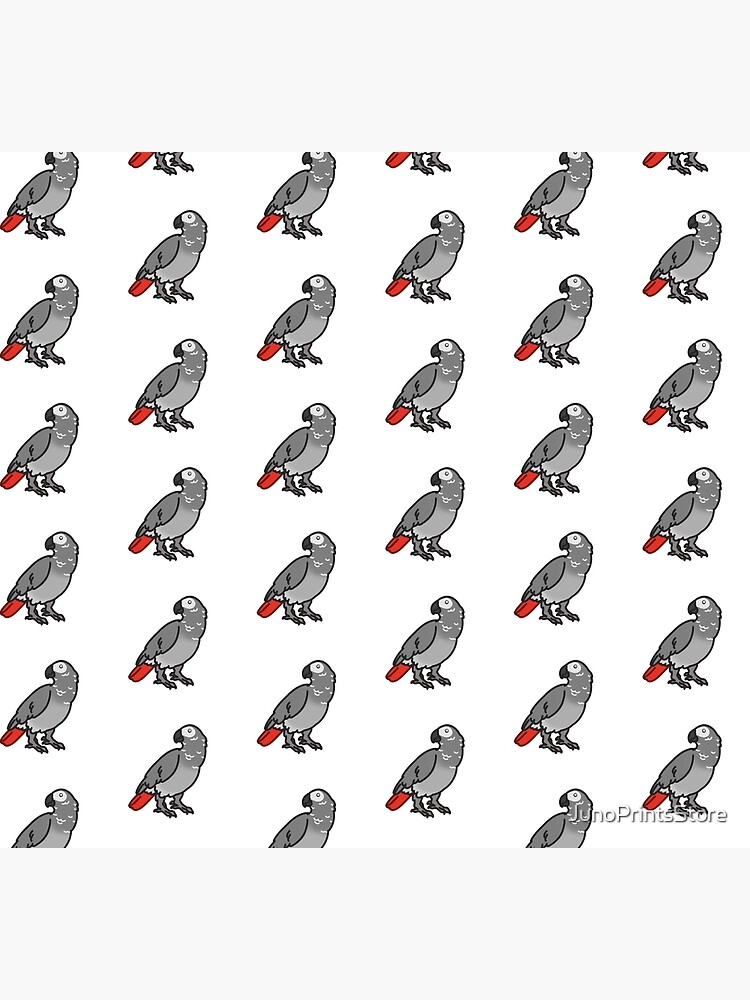 Disover African Grey Parrot - Congo Grey Parrot Socks