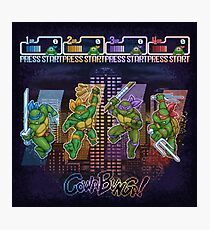 Mutant Ninja Turtle Teenagers Photographic Print