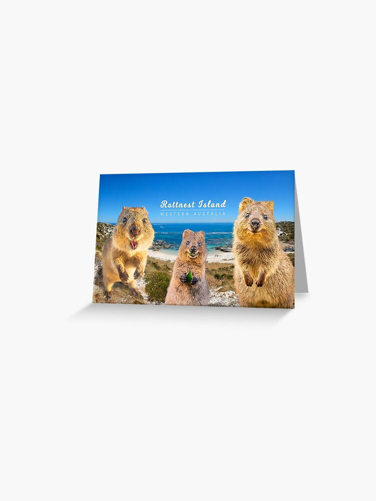 Carte de vœux for Sale avec l'œuvre « Quokka avec bébé mignon ours en  peluche australien » de l'artiste Animalzilla