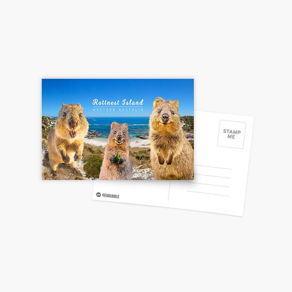 Item preview, Rottnest Island's Quokkas designed and sold by daxonart.