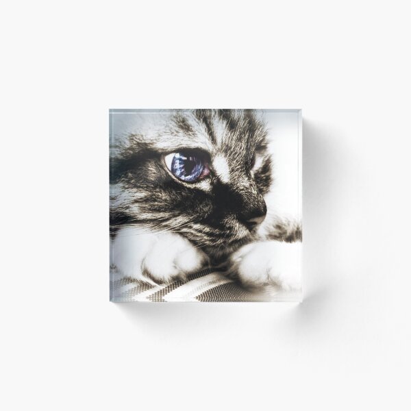Item preview, Hello there, Blue Eyes..  designed and sold by timeslides.