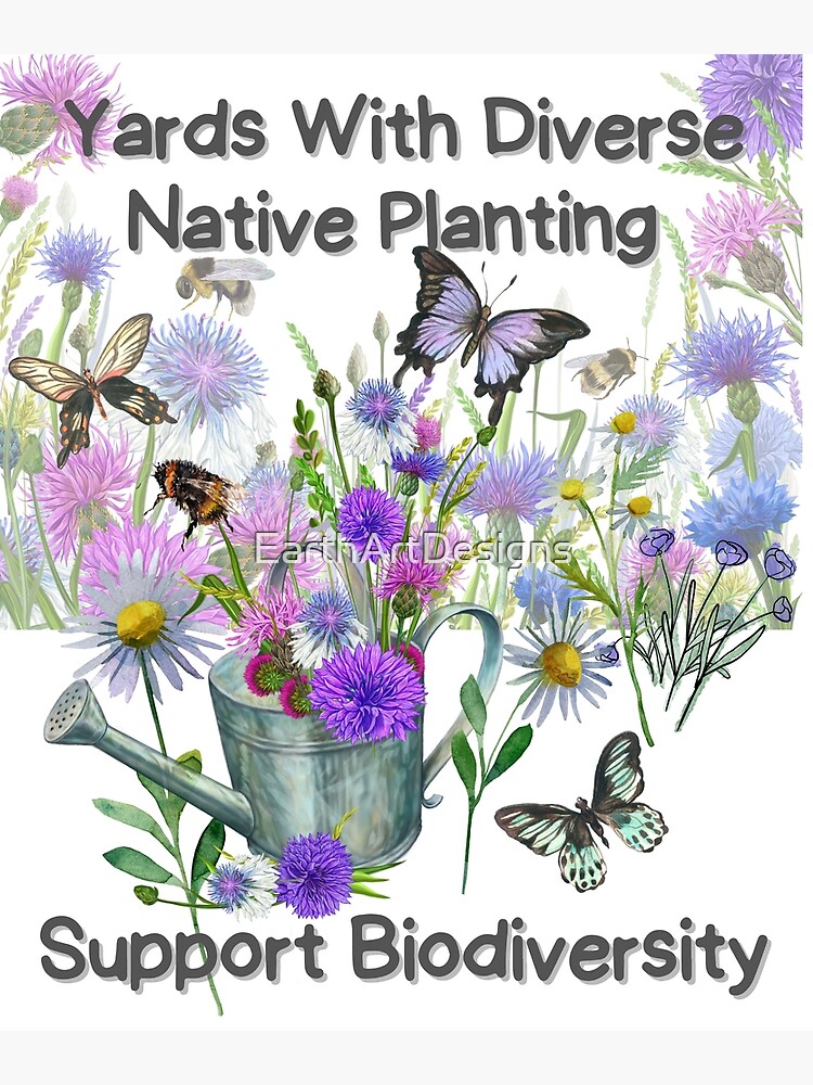 Spring Wildflowers Poster