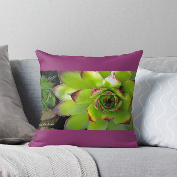 Item preview, Hey, Chick designed and sold by seventySIXart&photo .