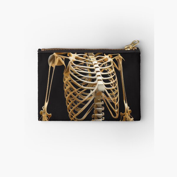 Item preview, Humanoid Skeleton designed and sold by DigitizedArt.