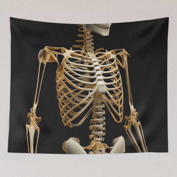 Item preview, Humanoid Skeleton designed and sold by DigitizedArt.