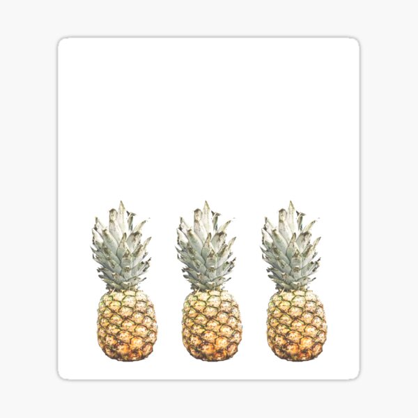 Aperçu de l'œuvre Ananas fanés créée et vendue par Claireandrewss.
