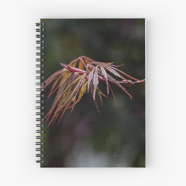 Item preview, Fine leaves 20171009 1442  designed and sold by Fred Mitchell.