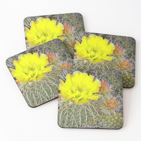 Item preview, Sunshine Cactus designed and sold by seventySIXart&photo .