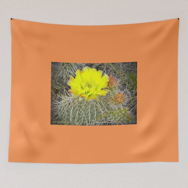 Item preview, Sunshine Cactus designed and sold by seventySIXart&photo .