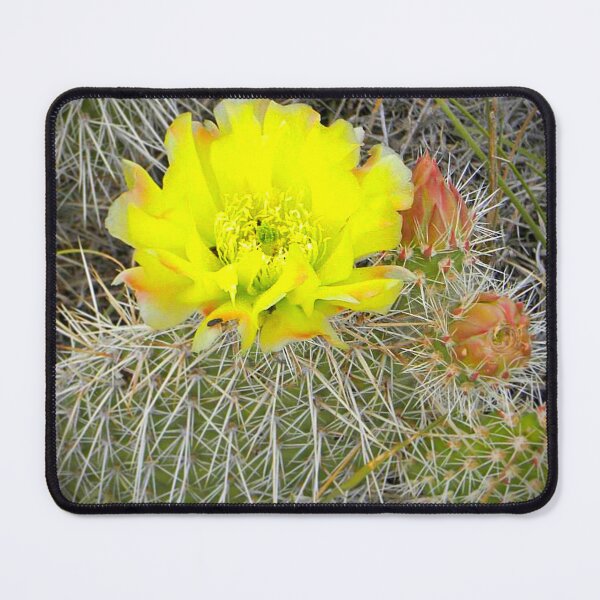 Item preview, Sunshine Cactus designed and sold by seventySIXart&photo .