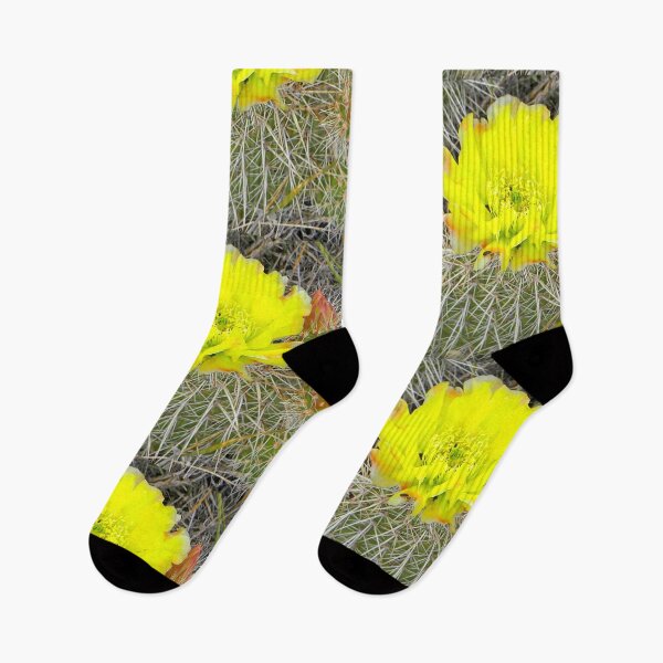Item preview, Sunshine Cactus designed and sold by seventySIXart&photo .