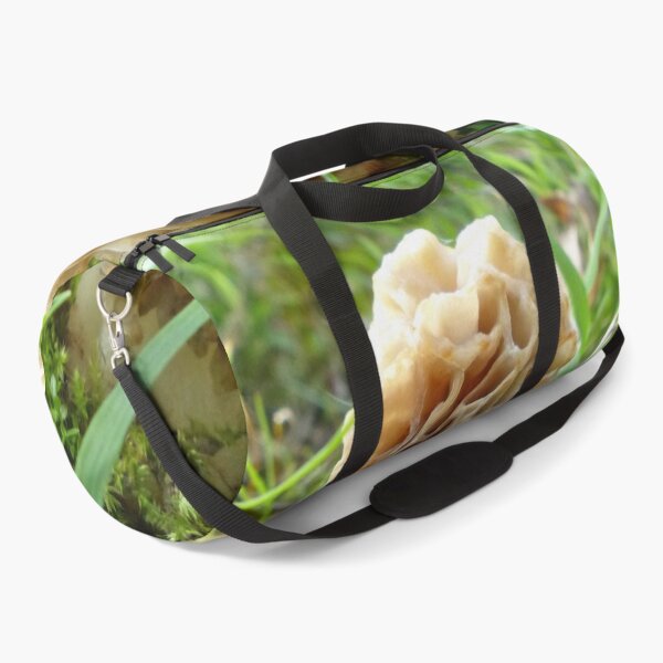 Item preview, Tasty Morel designed and sold by Frankie Cat Photography.
