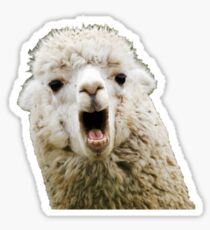 Lama Sticker