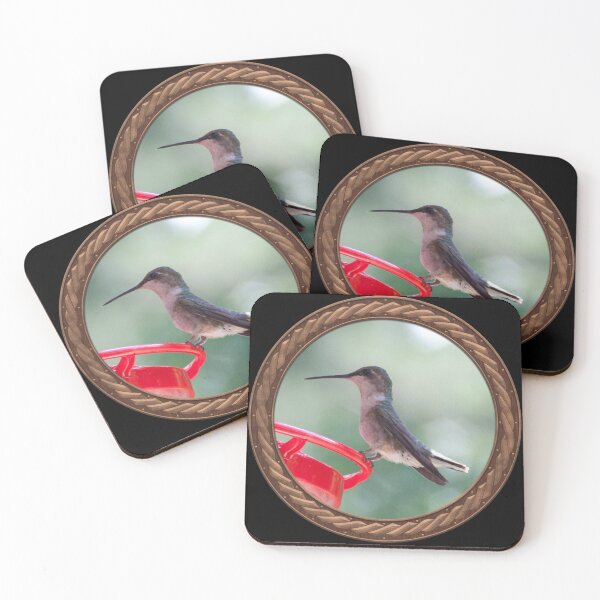 Item preview, Ruby-Throated Hummingbird Photography in Celtic Circle Frame 5 designed and sold by Swabcraft.