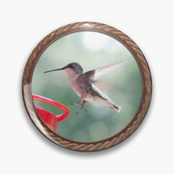 Item preview, Ruby-Throated Hummingbird Photography in Celtic Circle Frame 6 designed and sold by Swabcraft.