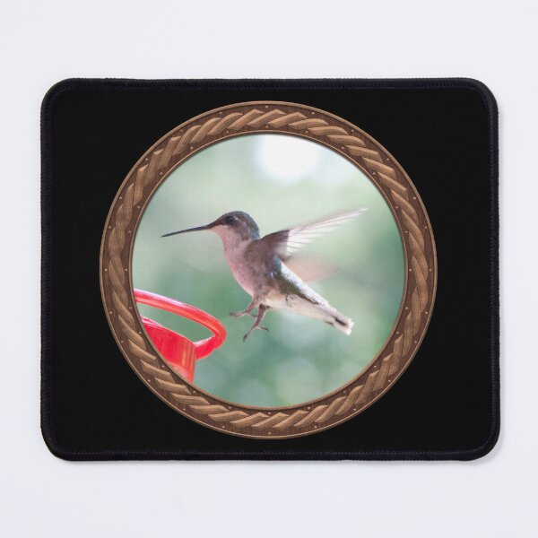 Item preview, Ruby-Throated Hummingbird Photography in Celtic Circle Frame 6 designed and sold by Swabcraft.