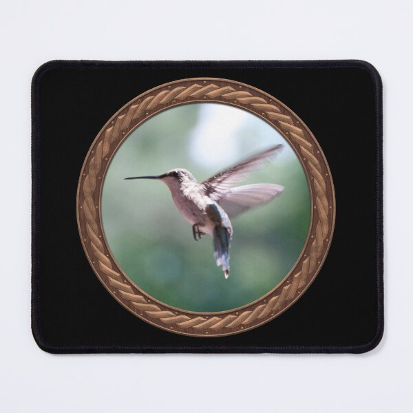 Item preview, Ruby-Throated Hummingbird Photography in Celtic Circle Frame 7 designed and sold by Swabcraft.
