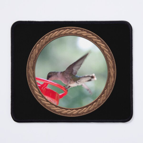 Item preview, Ruby-Throated Hummingbird Photography in Celtic Circle Frame 8 designed and sold by Swabcraft.