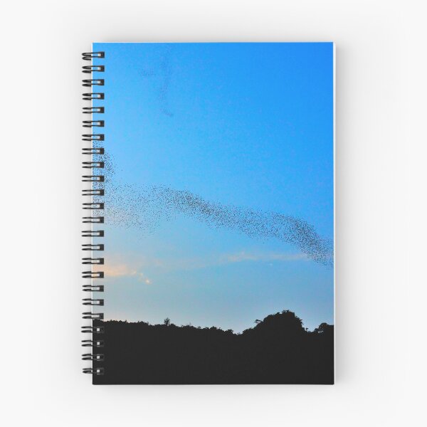 Item preview, Thailand - Phu Pha Man National Park designed and sold by franck380.