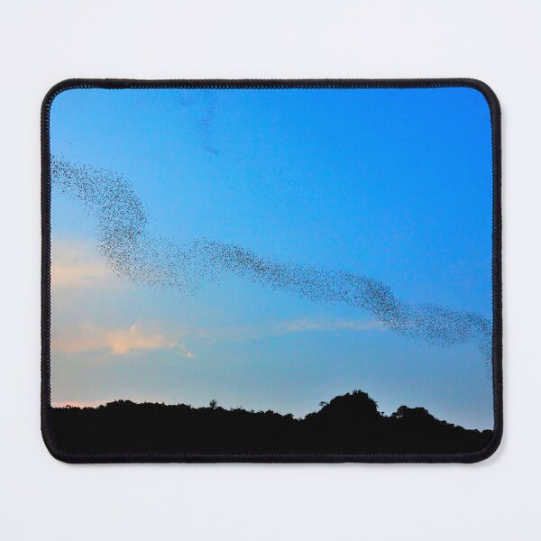Item preview, Thailand - Phu Pha Man National Park designed and sold by franck380.