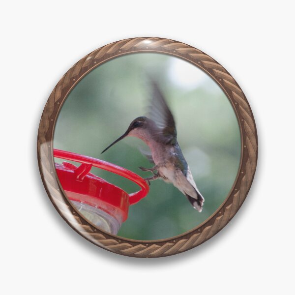 Item preview, Ruby-Throated Hummingbird Photography in Celtic Circle Frame 10 designed and sold by Swabcraft.