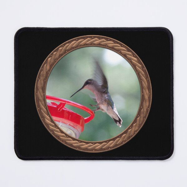 Item preview, Ruby-Throated Hummingbird Photography in Celtic Circle Frame 10 designed and sold by Swabcraft.