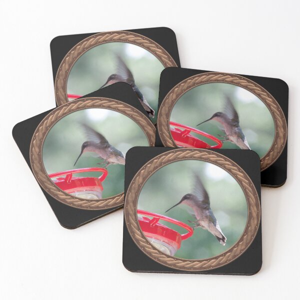 Item preview, Ruby-Throated Hummingbird Photography in Celtic Circle Frame 10 designed and sold by Swabcraft.