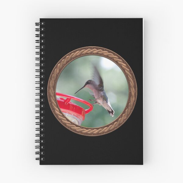 Item preview, Ruby-Throated Hummingbird Photography in Celtic Circle Frame 10 designed and sold by Swabcraft.