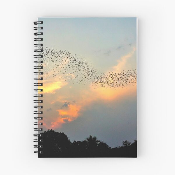 Item preview, Thailand - Phu Pha Man National Park designed and sold by franck380.