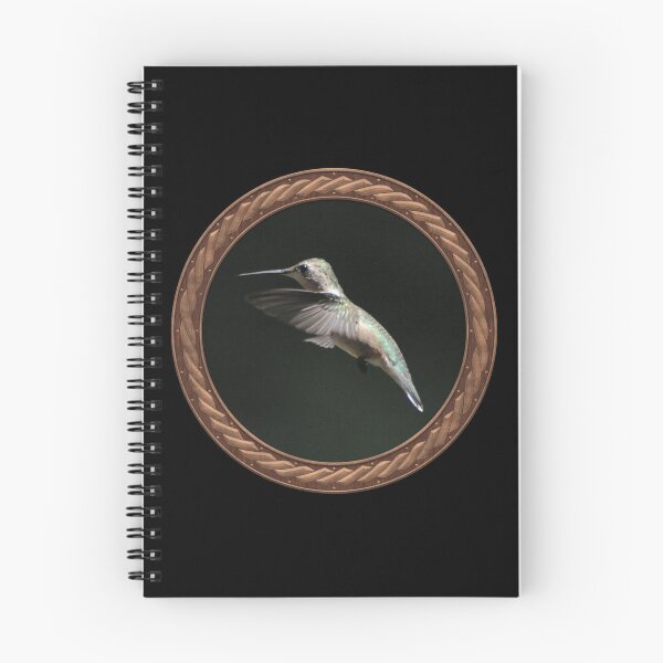Item preview, Ruby-Throated Hummingbird Photography in Celtic Circle Frame 12 designed and sold by Swabcraft.
